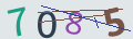 verifycode
